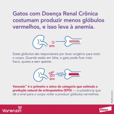 Solução Oral Varenzin Elanco Sabor Peixe para Gatos 27 ml
