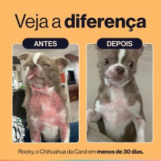 Suplemento Alimentar Buddy Nutrition Pele & Pelagem Sabor Carne para Cães - 60 Tabletes