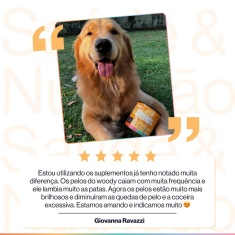 Suplemento Alimentar Buddy Nutrition Pele & Pelagem Sabor Carne para Cães - 60 Tabletes