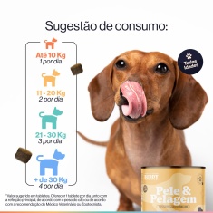Suplemento Alimentar Buddy Nutrition Pele & Pelagem Sabor Carne para Cães - 60 Tabletes