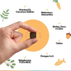 Suplemento Alimentar Buddy Nutrition Pele & Pelagem Sabor Carne para Cães - 60 Tabletes