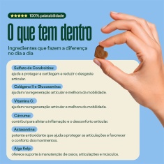 Suplemento Wigow Mobilidade para Cães 84g com 30 Unidades