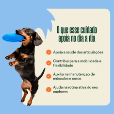Suplemento Wigow Mobilidade para Cães 84g com 30 Unidades