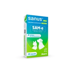 Suplemento Sanus 200mg com 30 Cápsulas