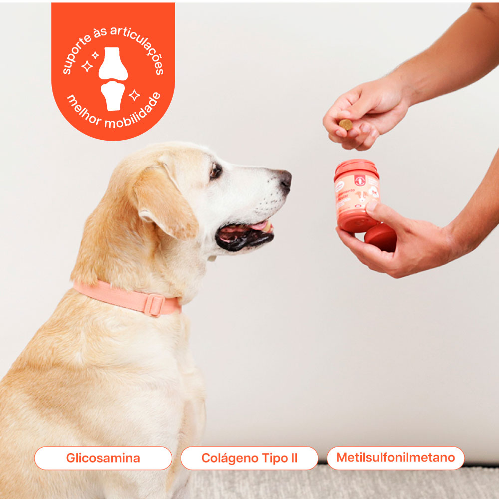 Suplemento Happy Bones Articular para Cães 84 g