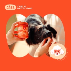 Suplemento Happy Bones Articular para Cães 84 g