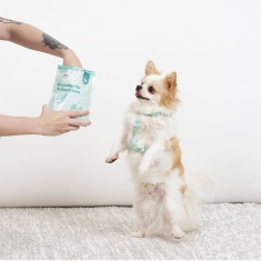 Suplemento Happy Zen Antiestresse para Cães 84 g