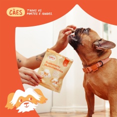 Suplemento Happy Days Multivitamínico para Cães 84 g