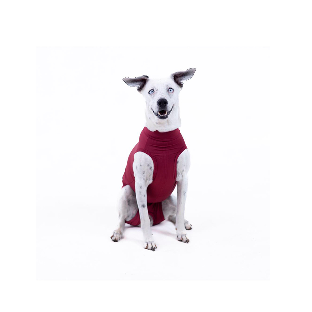 Roupa Cirúrgica Essential Care Pet Freedom Bordô para Cães Fêmeas