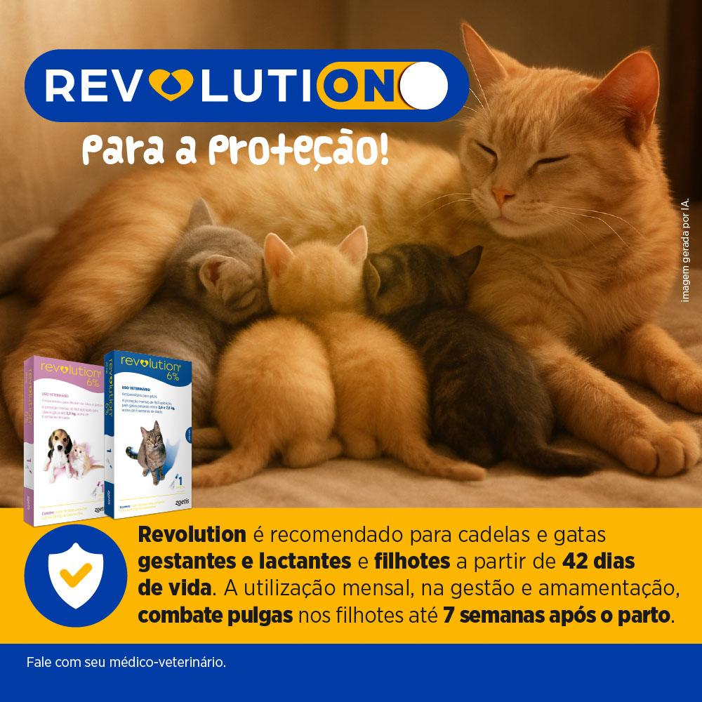 Revolution Zoetis 12% 0.50ml para Cães 5,1Kg a 10kg