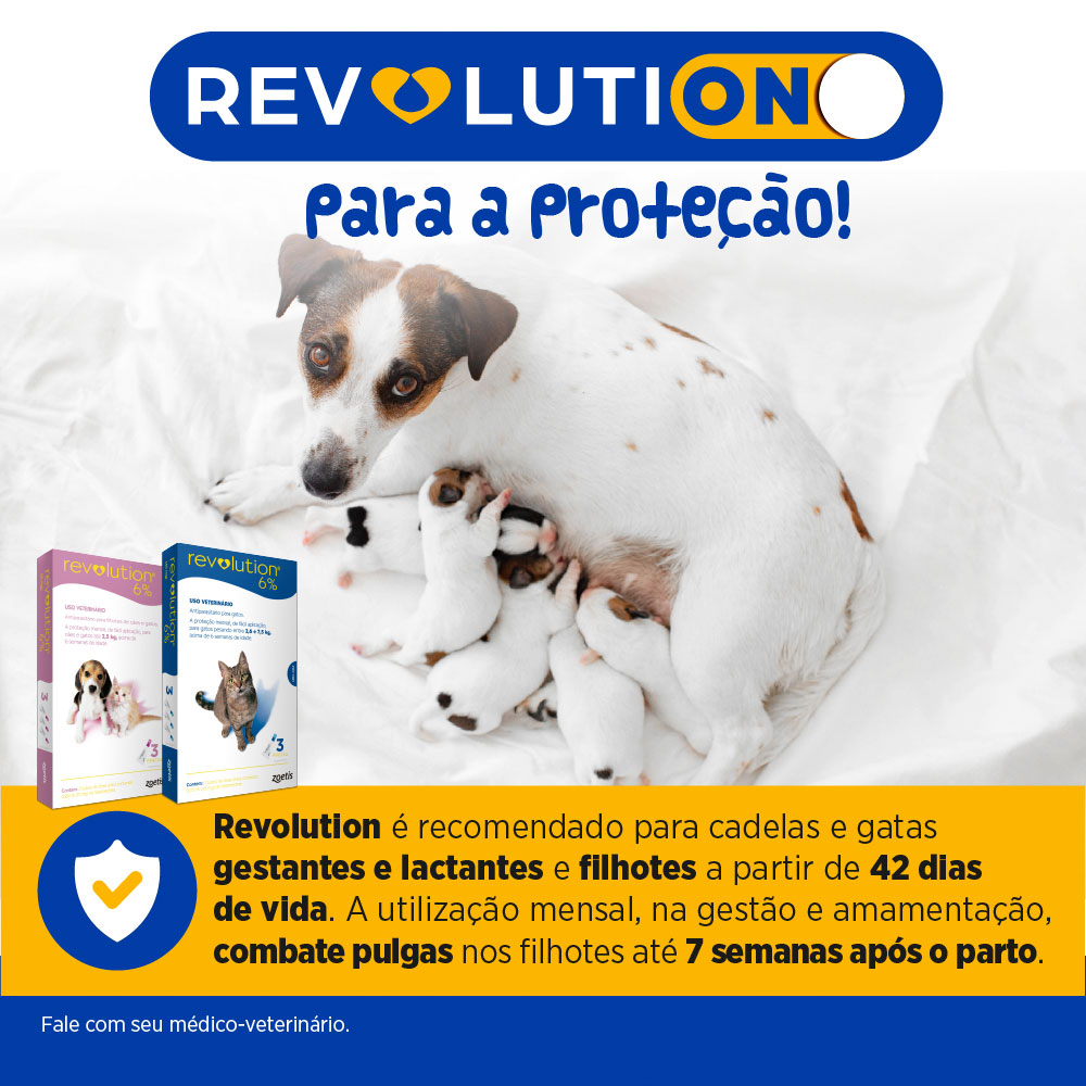 Revolution Zoetis 6% 0.25ml para Filhotes de Cães e Gatos de até 2,5Kg