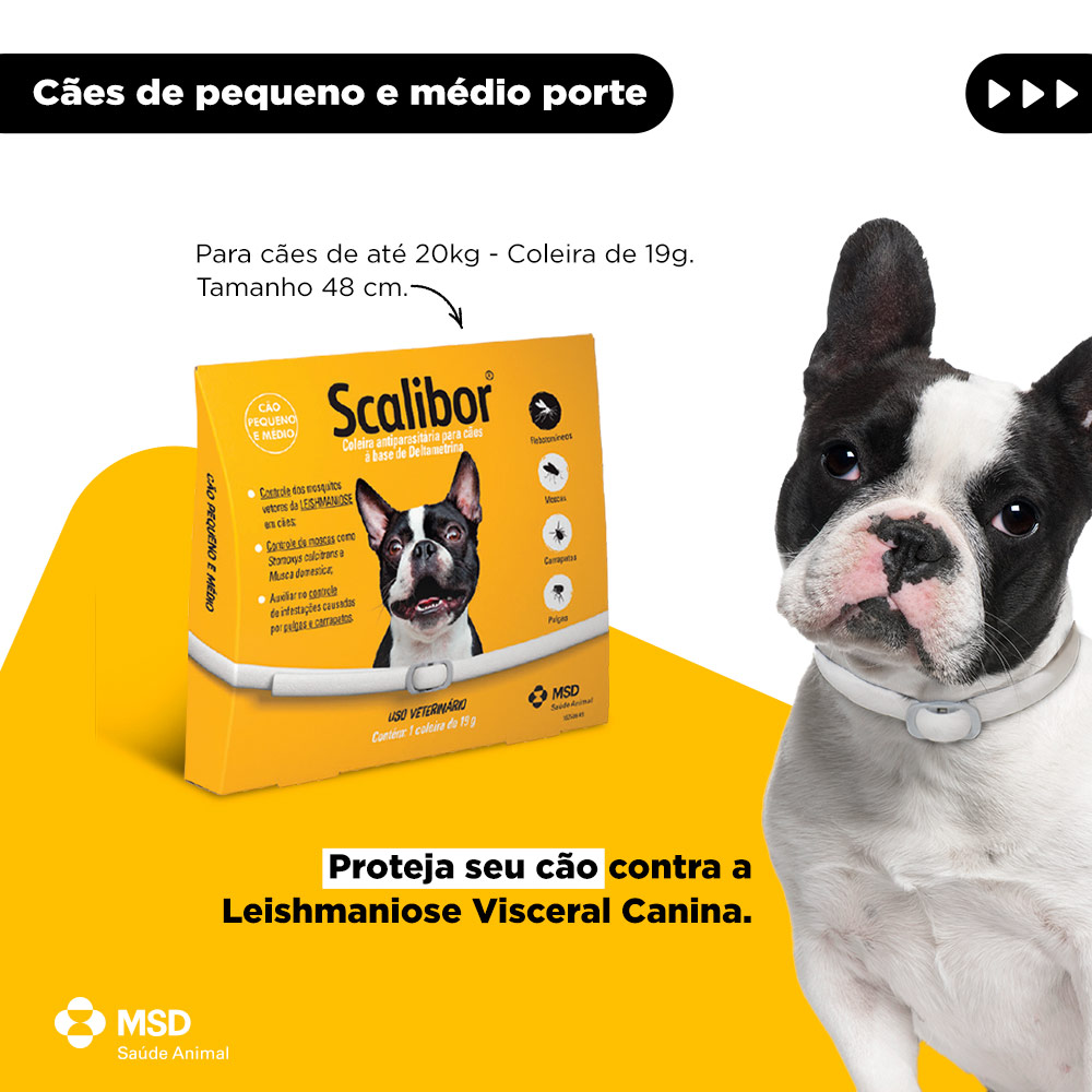 Coleira Antiparasitas Scalibor MSD Saúde Animal
