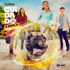 Coleira Antiparasitas Scalibor MSD Saúde Animal