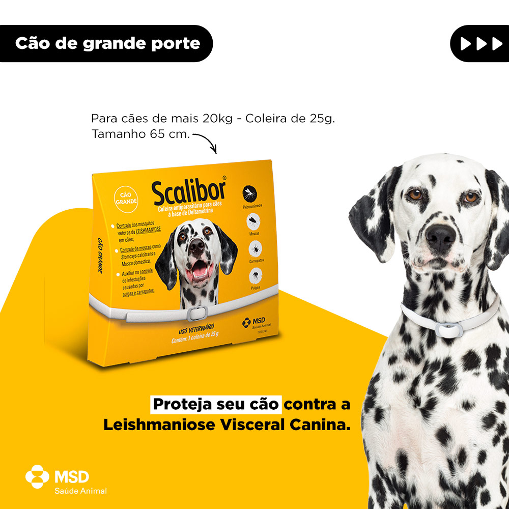 Coleira Antiparasitas Scalibor MSD Saúde Animal