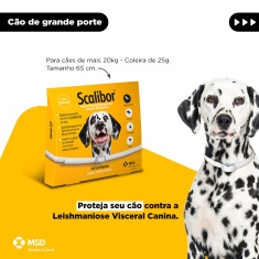 Coleira Antiparasitas Scalibor MSD Saúde Animal