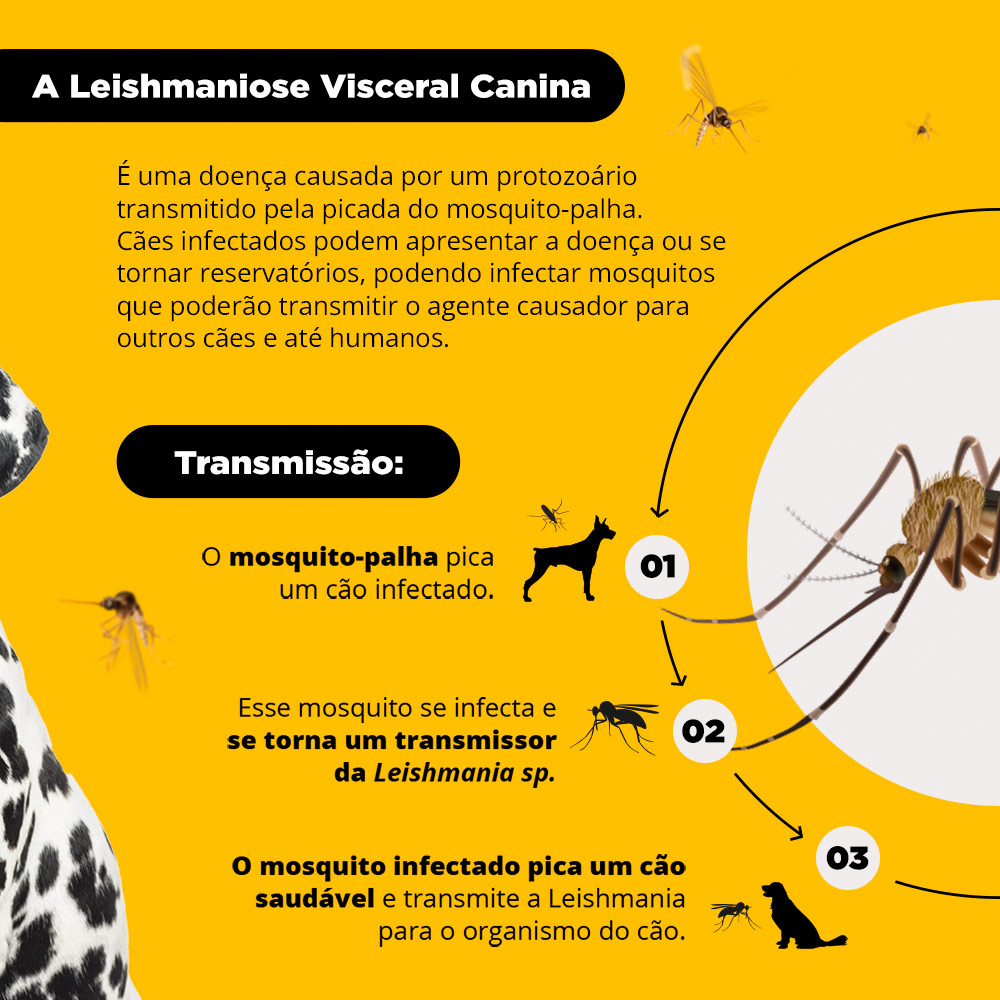 Coleira Antiparasitas Scalibor MSD Saúde Animal