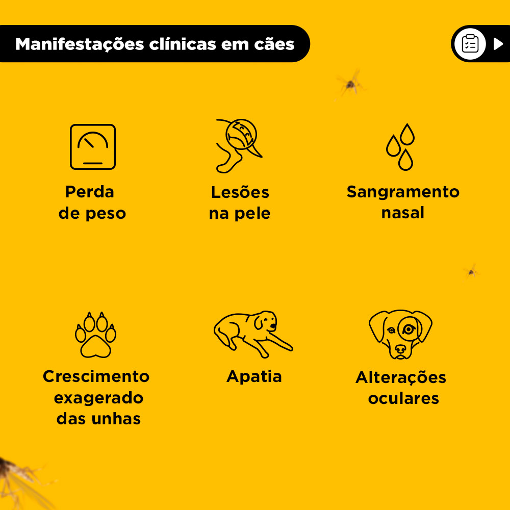 Coleira Antiparasitas Scalibor MSD Saúde Animal