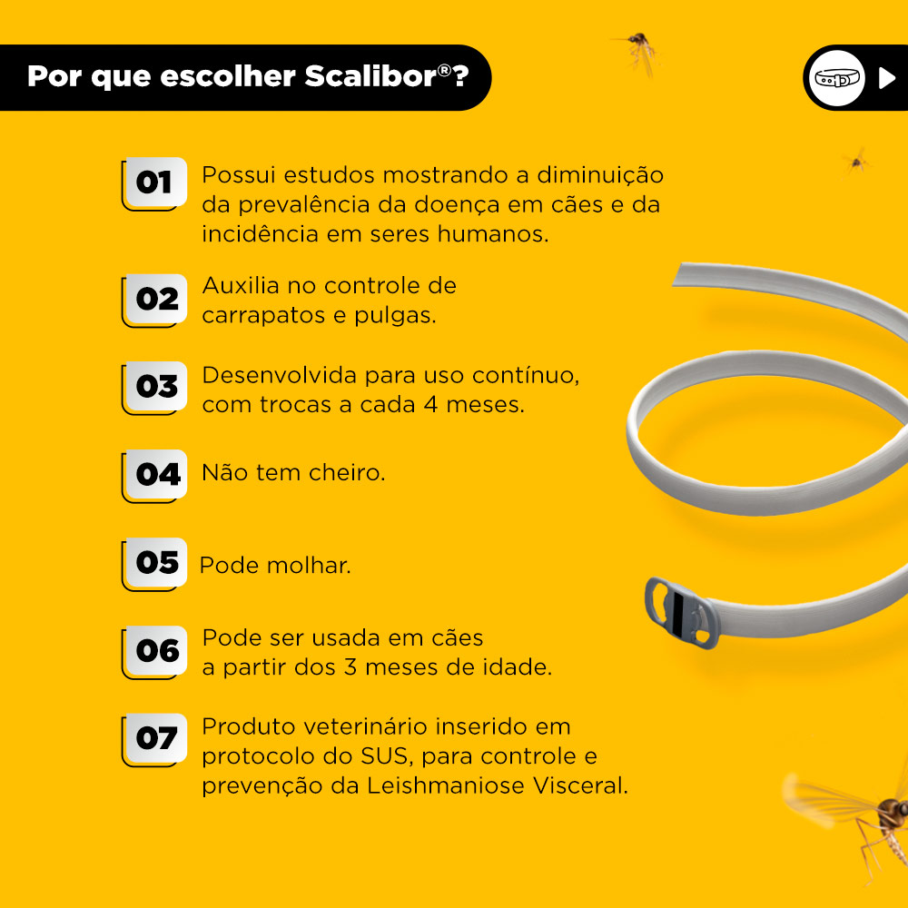 Coleira Antiparasitas Scalibor MSD Saúde Animal