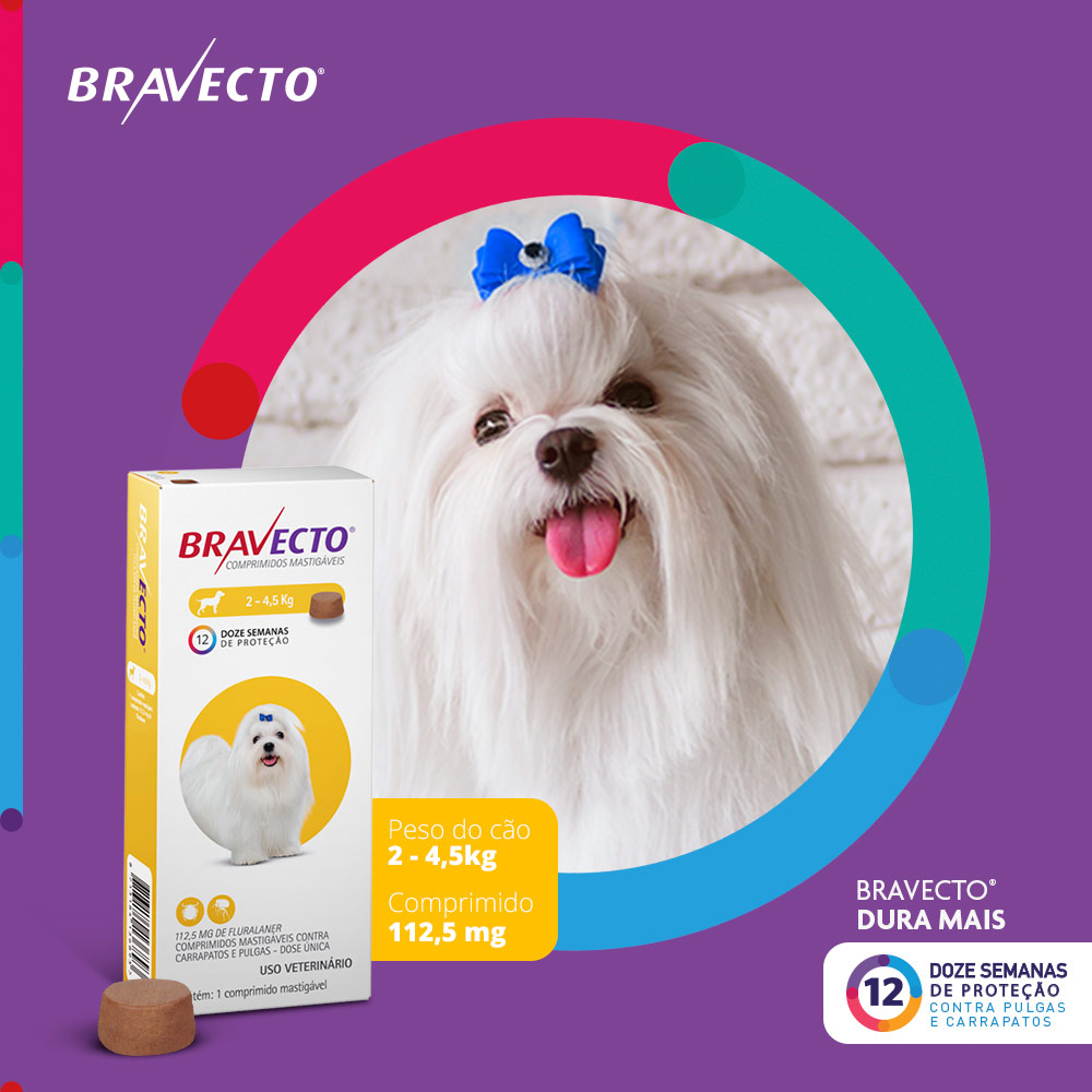 Antipulgas e Carrapatos Bravecto® Comprimido Mastigável de 112,5mg para Cães de 2 a 4,5kg - MSD Saúde Animal