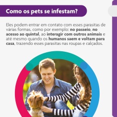 Antipulgas e Carrapatos Bravecto® Comprimido Mastigável de 112,5mg para Cães de 2 a 4,5kg - MSD Saúde Animal