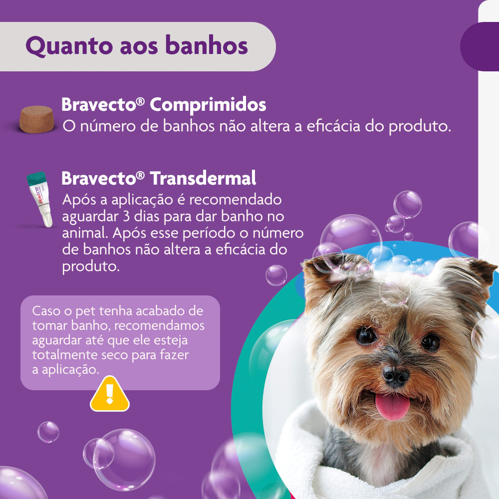 Antipulgas e Carrapatos Bravecto® Comprimido Mastigável de 112,5mg para Cães de 2 a 4,5kg - MSD Saúde Animal