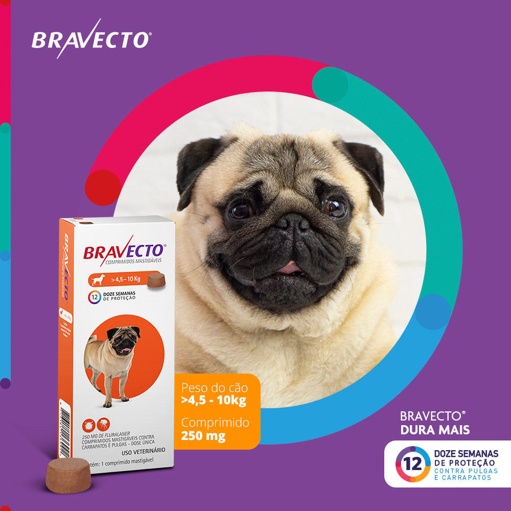 Antipulgas e Carrapatos Bravecto® Comprimido Mastigável de 250mg para Cães de 4,5 a 10kg - MSD Saúde Animal