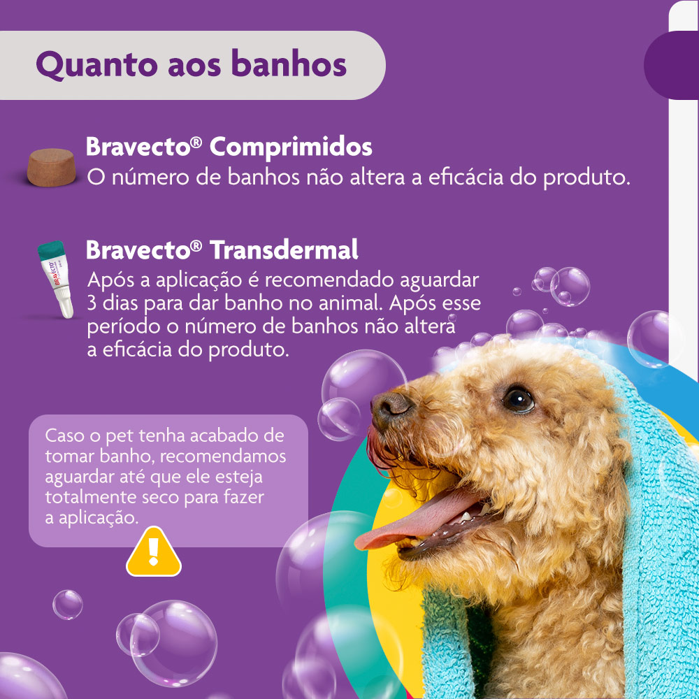 Antipulgas e Carrapatos Bravecto® Comprimido Mastigável de 250mg para Cães de 4,5 a 10kg - MSD Saúde Animal