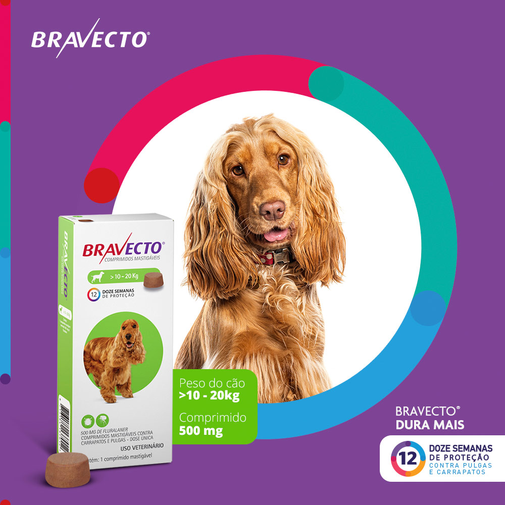 Antipulgas e Carrapatos Bravecto® Comprimido Mastigável de 500mg para Cães de 10 a 20kg - MSD Saúde Animal