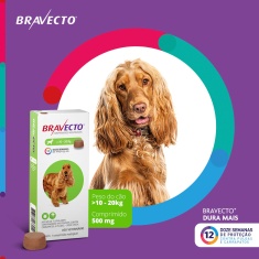 Antipulgas e Carrapatos Bravecto® Comprimido Mastigável de 500mg para Cães de 10 a 20kg - MSD Saúde Animal