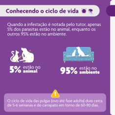Antipulgas e Carrapatos Bravecto® Comprimido Mastigável de 500mg para Cães de 10 a 20kg - MSD Saúde Animal