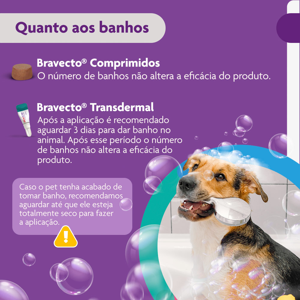 Antipulgas e Carrapatos Bravecto® Comprimido Mastigável de 500mg para Cães de 10 a 20kg - MSD Saúde Animal