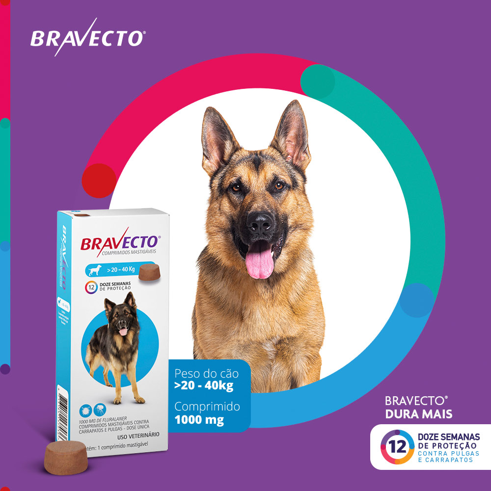 Antipulgas e Carrapatos Bravecto® Comprimido Mastigável de 1000mg para Cães de 20 a 40kg - MSD Saúde Animal
