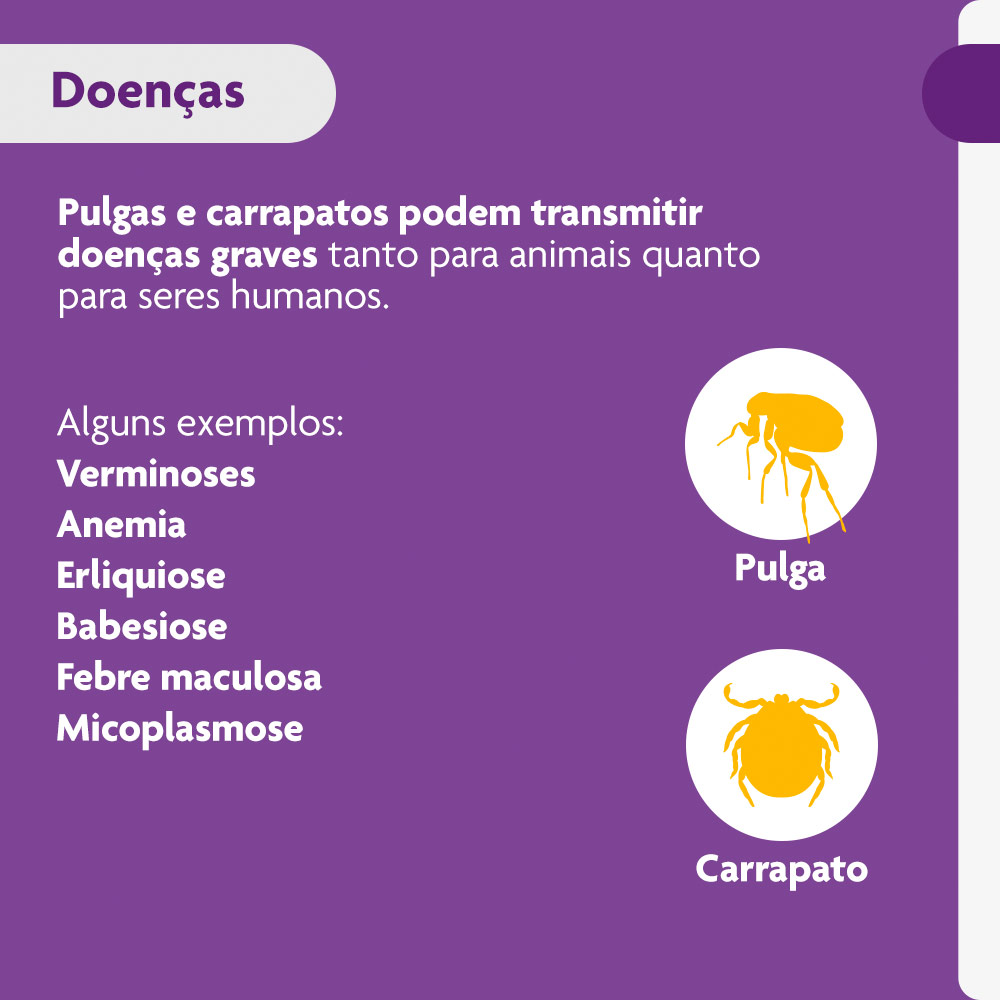 Antipulgas e Carrapatos Bravecto® Comprimido Mastigável de 1000mg para Cães de 20 a 40kg - MSD Saúde Animal