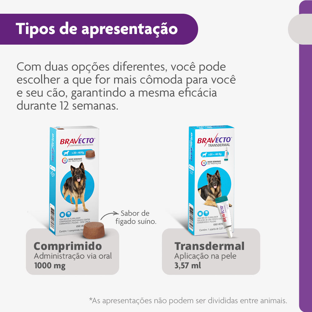 Antipulgas e Carrapatos Bravecto® Comprimido Mastigável de 1000mg para Cães de 20 a 40kg - MSD Saúde Animal