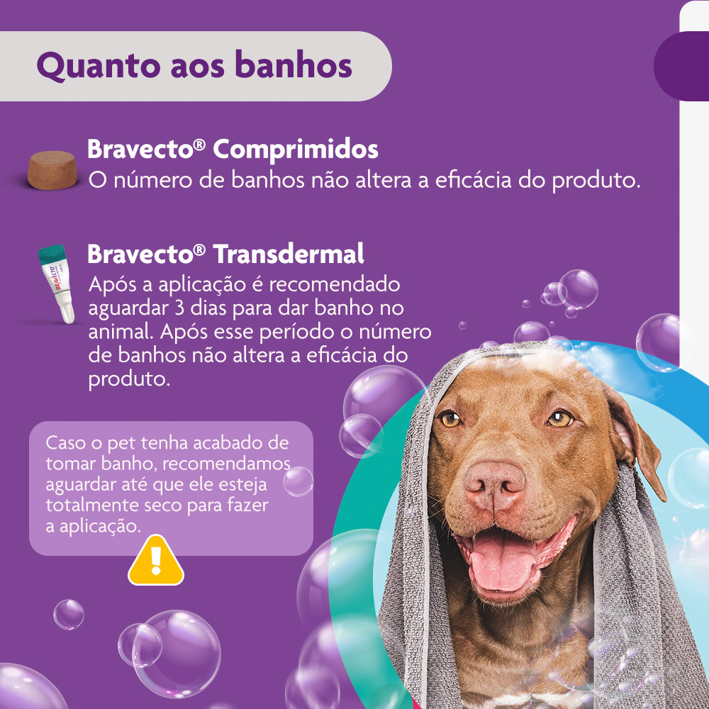Antipulgas e Carrapatos Bravecto® Comprimido Mastigável de 1000mg para Cães de 20 a 40kg - MSD Saúde Animal