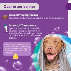 Antipulgas e Carrapatos Bravecto® Comprimido Mastigável de 1000mg para Cães de 20 a 40kg - MSD Saúde Animal