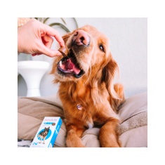 Antipulgas e Carrapatos Bravecto® Comprimido Mastigável de 1400mg para Cães de 40 a 56kg - MSD Saúde Animal