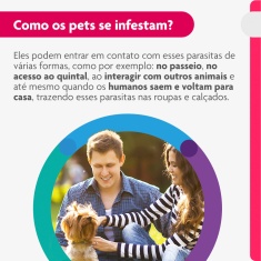 Antipulgas e Carrapatos Bravecto Transdermal 112,5mg para Cães de 2 a 4,5kg - MSD Saúde Animal