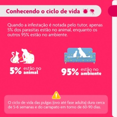 Antipulgas e Carrapatos Bravecto Transdermal 112,5mg para Cães de 2 a 4,5kg - MSD Saúde Animal