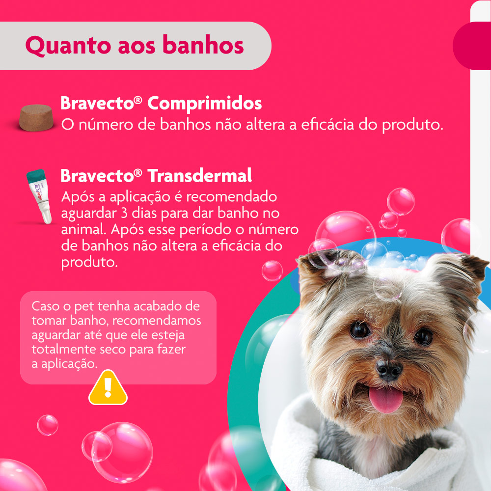 Antipulgas e Carrapatos Bravecto Transdermal 112,5mg para Cães de 2 a 4,5kg - MSD Saúde Animal