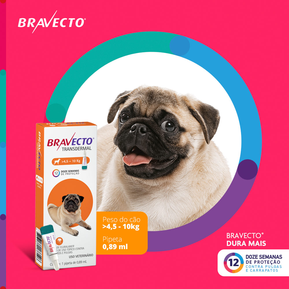 Antipulgas e Carrapatos Bravecto Transdermal 250mg para Cães de 4,5 a 10kg - MSD Saúde Animal