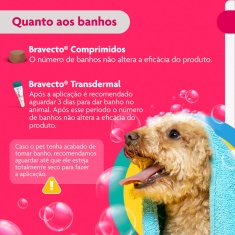 Antipulgas e Carrapatos Bravecto Transdermal 250mg para Cães de 4,5 a 10kg - MSD Saúde Animal