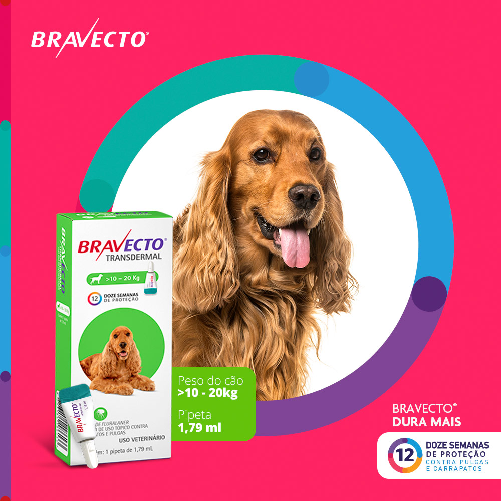 Antipulgas e Carrapatos Bravecto Transdermal 500mg para Cães de 10 a 20kg - MSD Saúde Animal