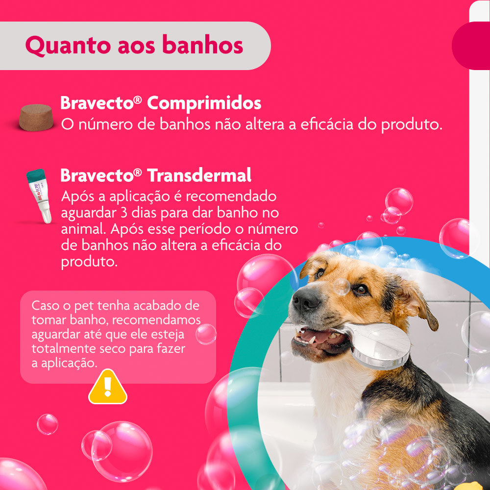 Antipulgas e Carrapatos Bravecto Transdermal 500mg para Cães de 10 a 20kg - MSD Saúde Animal