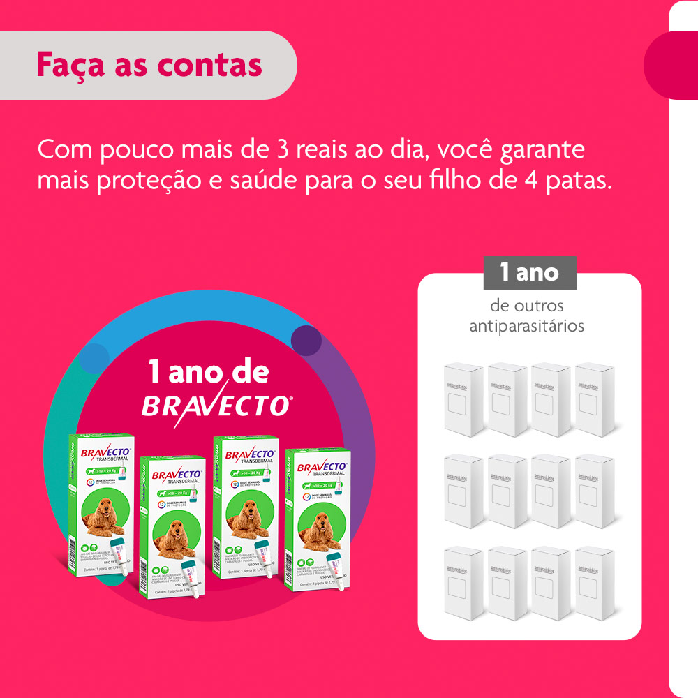 Antipulgas e Carrapatos Bravecto Transdermal 500mg para Cães de 10 a 20kg - MSD Saúde Animal