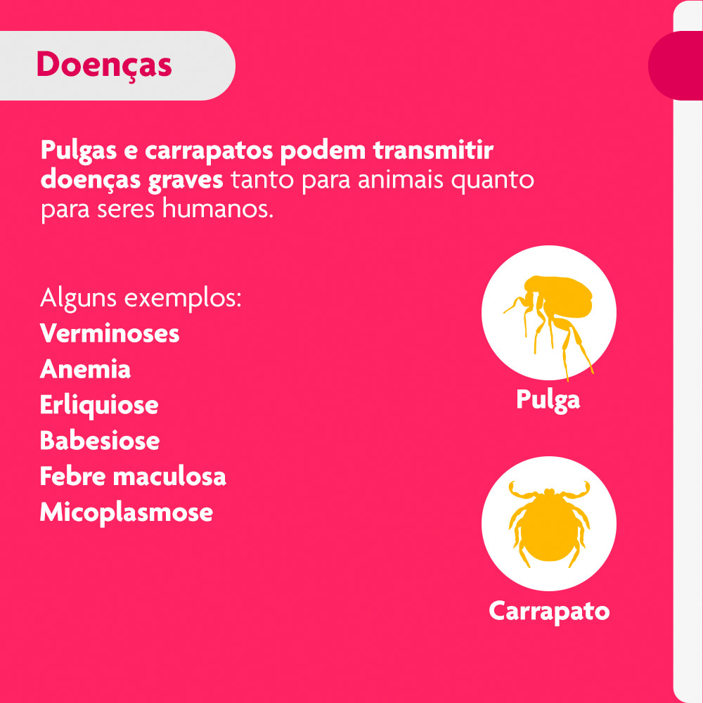 Antipulgas e Carrapatos Bravecto Transdermal 1000mg para Cães de 20 a 40kg - MSD Saúde Animal