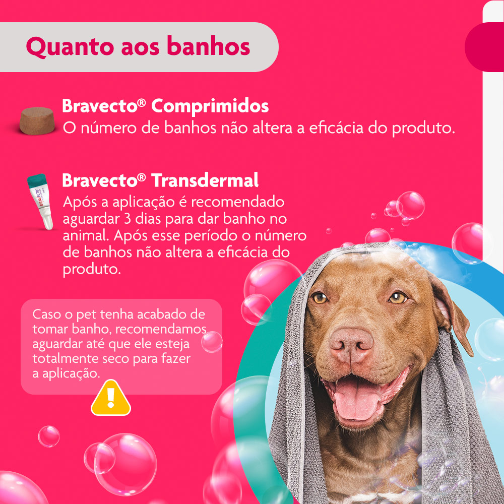 Antipulgas e Carrapatos Bravecto Transdermal 1000mg para Cães de 20 a 40kg - MSD Saúde Animal