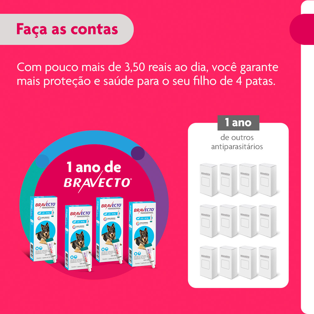 Antipulgas e Carrapatos Bravecto Transdermal 1000mg para Cães de 20 a 40kg - MSD Saúde Animal