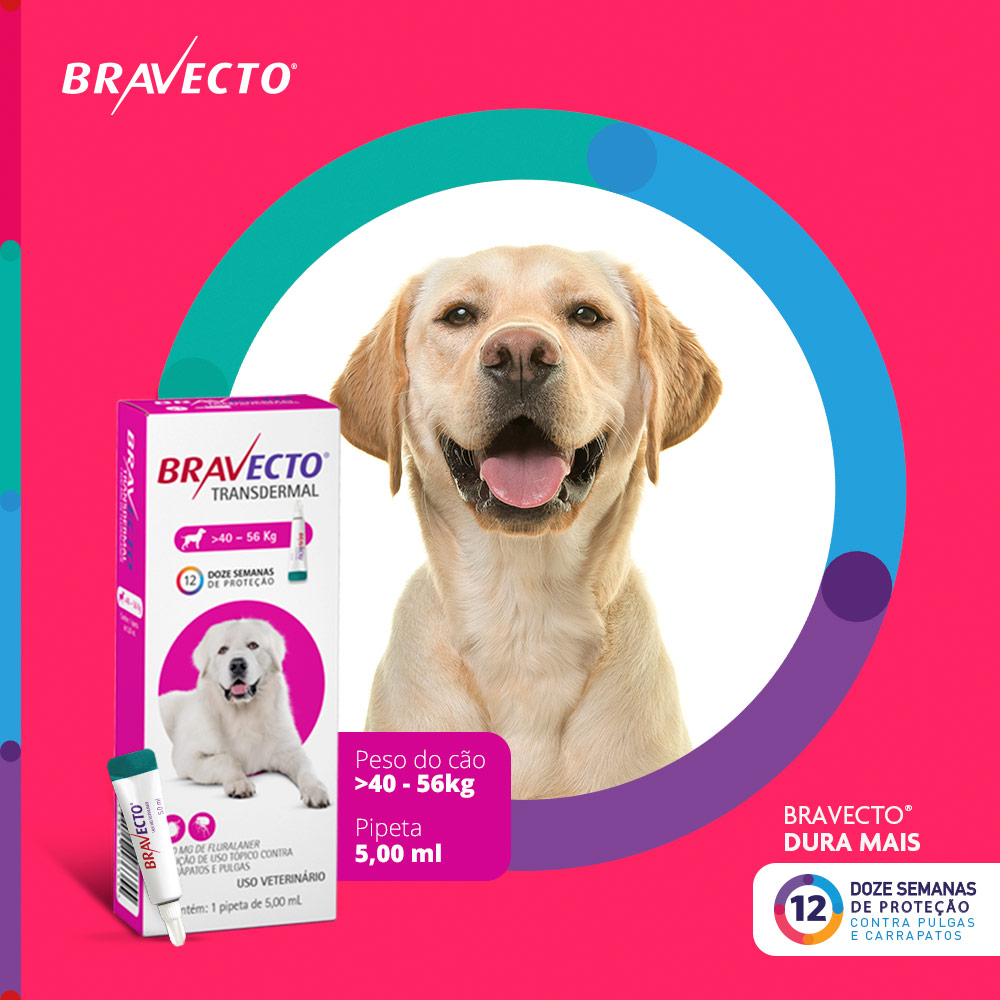 Antipulgas e Carrapatos Bravecto Transdermal 1400mg para Cães de 40 a 56kg - MSD Saúde Animal