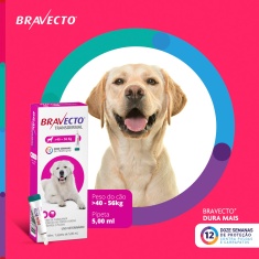 Antipulgas e Carrapatos Bravecto Transdermal 1400mg para Cães de 40 a 56kg - MSD Saúde Animal